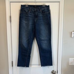Banana Republic Women's Blue Jeans